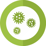 Acworth Mold