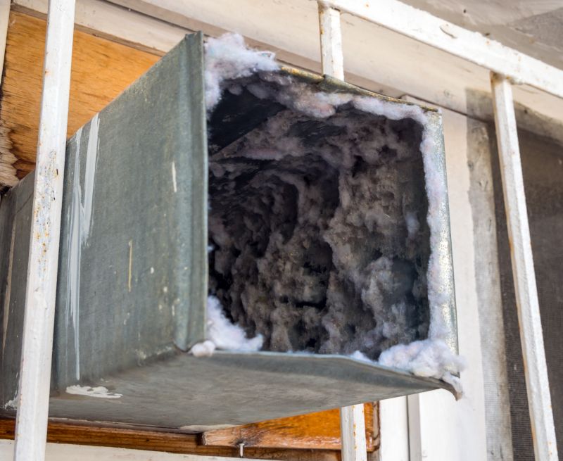 Air Duct Mold Removal