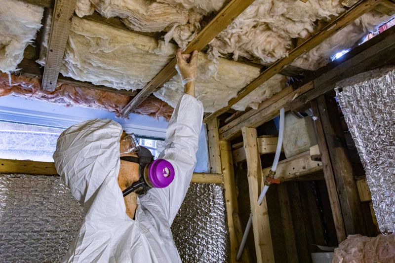 Attic Mold Removal