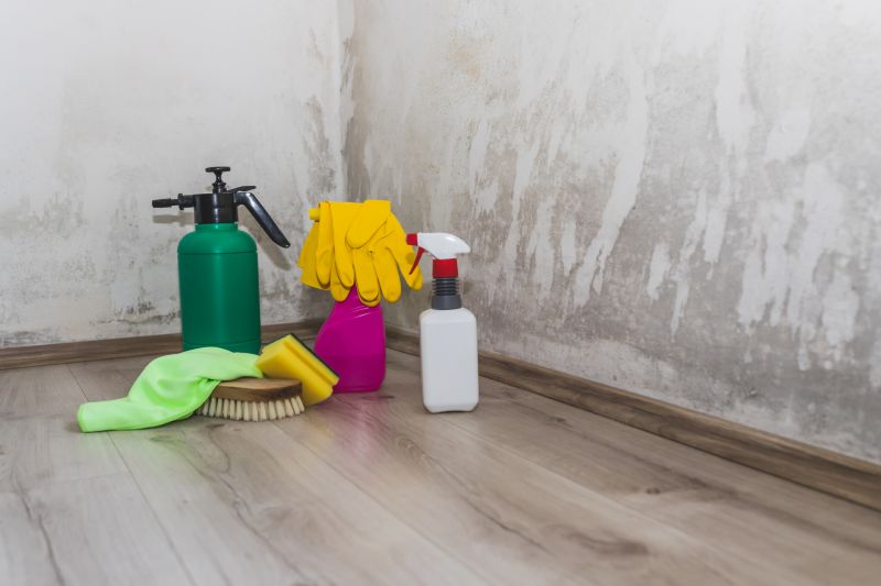 Basement Mold Remediation