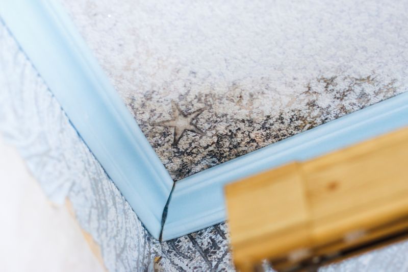 Ceiling Mold Removal