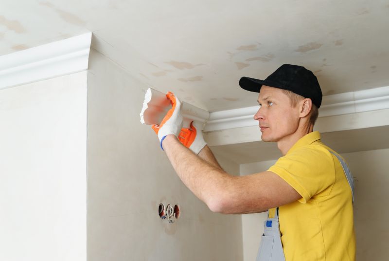 Ceiling Mold Removal