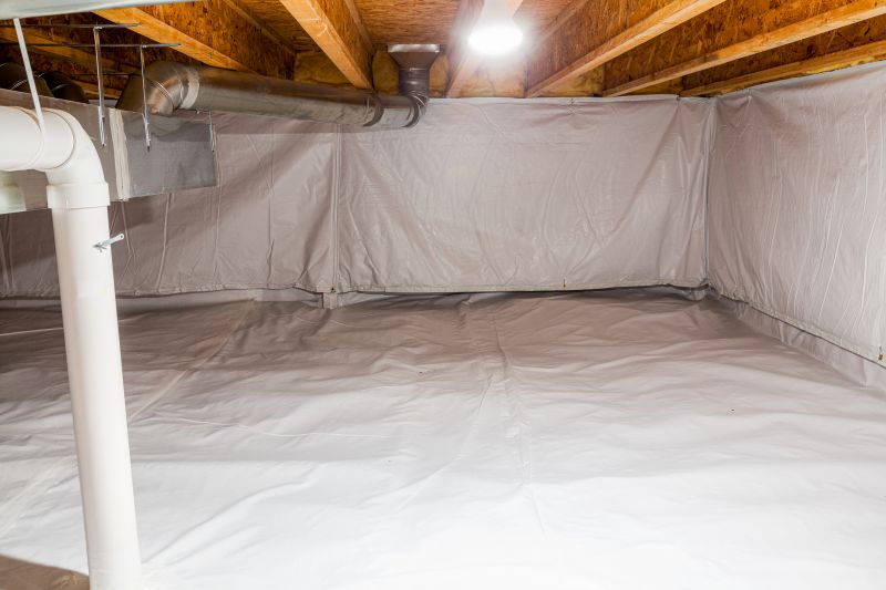 Crawl Space Mold Removal