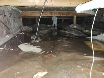 Crawlspace Mold Remediation