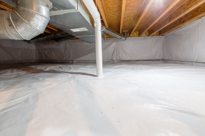 Crawlspace Mold Remediation