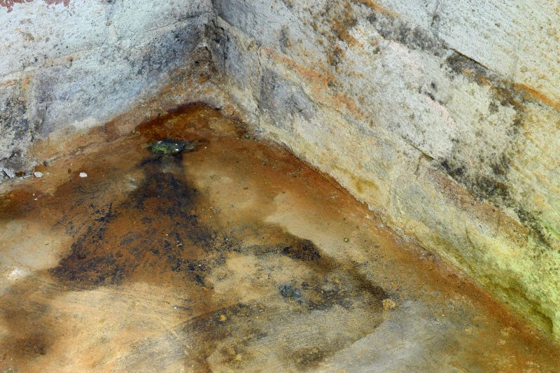 Crawlspace Mold Remediation