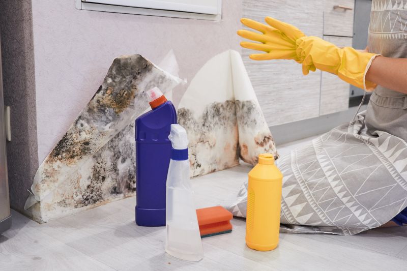 Mold Abatement Service detail