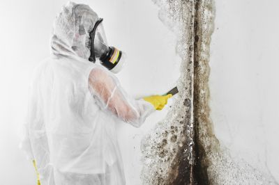 Mold Remediation Service detail