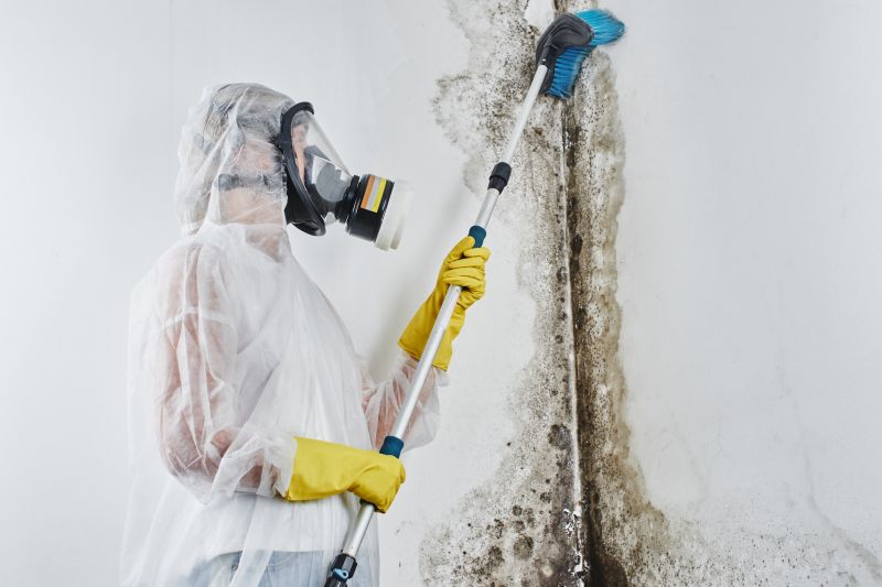 Mold Cleanup Service