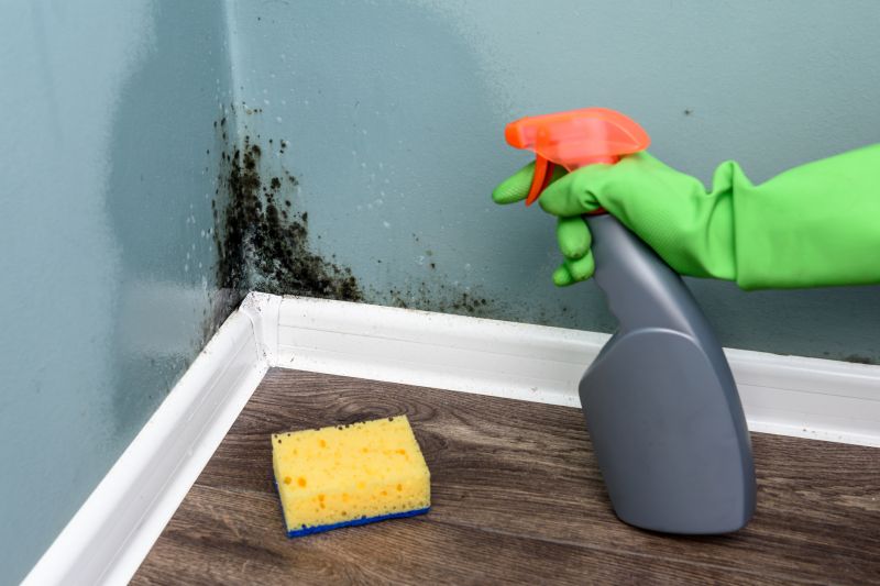 Mold Cleanup Service
