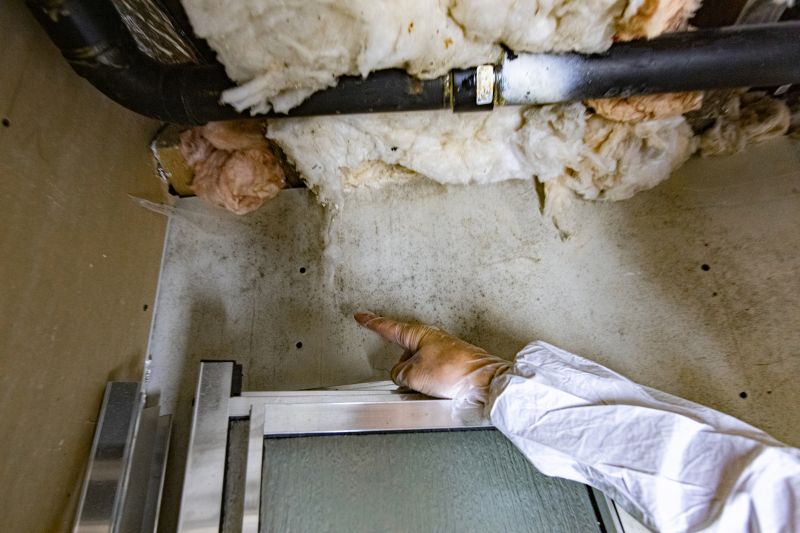 Mold Inspection Service