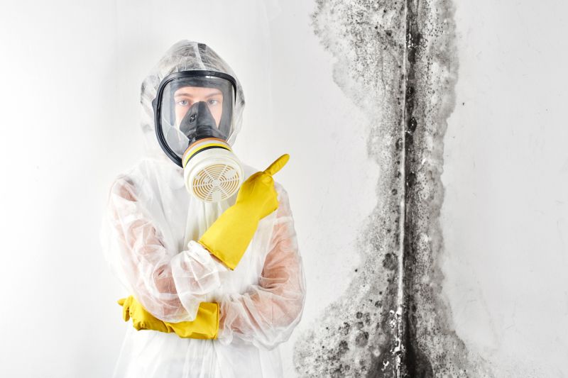 Mold Inspection Service