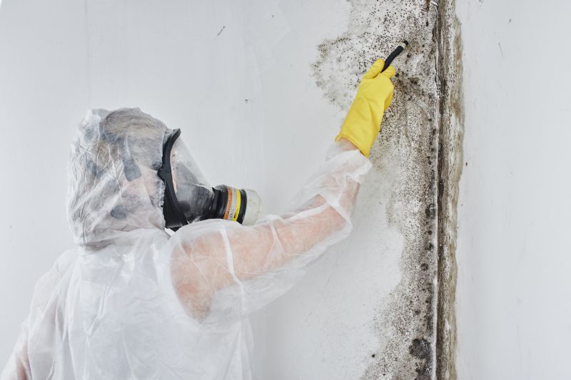 Mold Removals Equipment