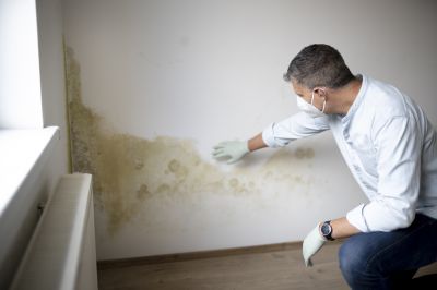 Spring Mold Risks