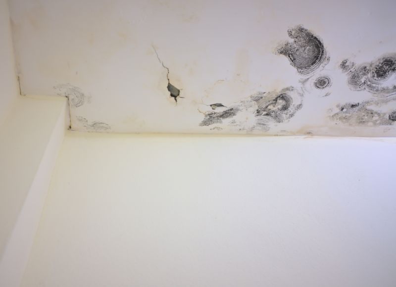 Mold Damage