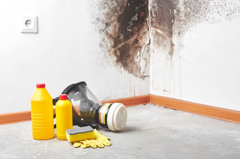 Cleaning and Restoration Services