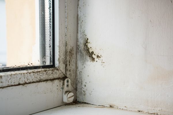 Black Mold Testing in Acworth
