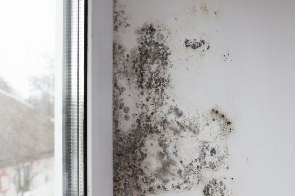 Mold Containment