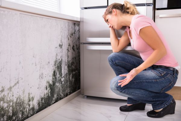 Mold Decontamination