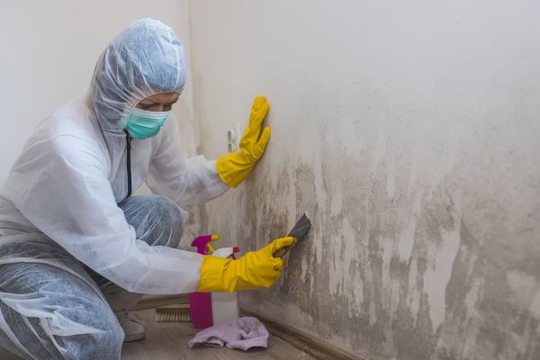 Basement Mold Remediation in Acworth