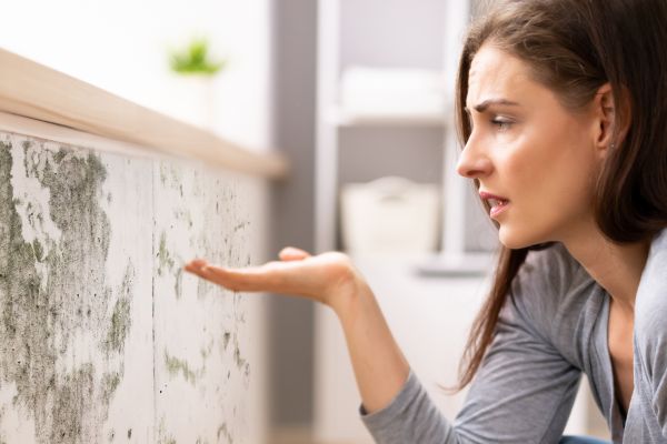 Mold Detection Service in Acworth