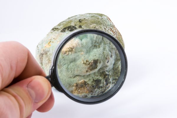 Residential Mold Testing in Acworth