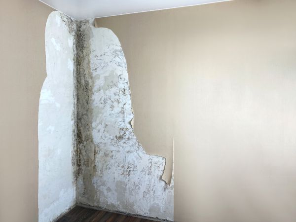 Apartment Mold Detection