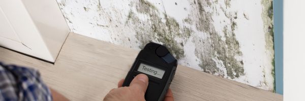 Apartment Mold Analysis