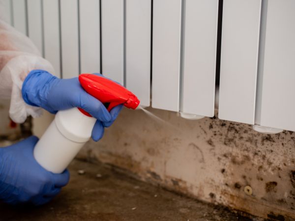 Black Mold Remediation in Acworth