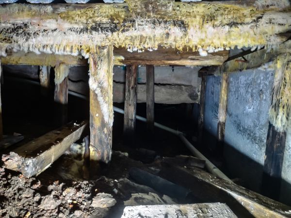 Crawlspace Mold Remediation in Acworth