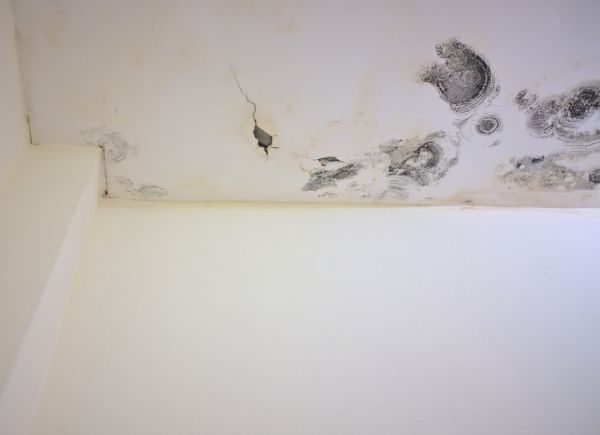 Garage Mold Remediation in Acworth